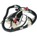 Kabelbaum f�r Quad Bashan 200 ccm (BS200-7)