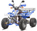 Quad Shineray 250 ccm homologiert f�r 2 Pl�tze, blau