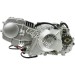 Motor Monkey / Gorilla 125ccm mit elektrischen Anlasser (1P52FMI)