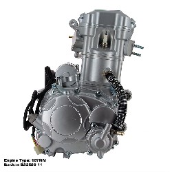 Motor komplett 167MM fr Quad Bashan 250 ccm (BS250S-11)
