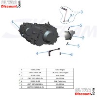 Motor 125ccm Euro3 fr Skyteam T-Rex Bilder 1
