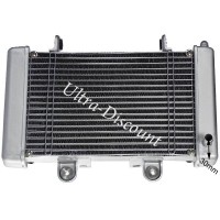 Khler + Adapter + Ventilator Shineray 250ccm STIXE Bilder 2