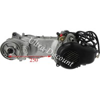 Motor fr Motorroller 50 ccm 1E40QMB (Trommelbremse, 12 Zoll-Felgen, 250mm) Bilder 1