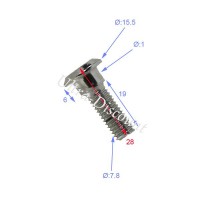 Befestigungsschraube Bremsscheibe Quad 28mm Bilder 1