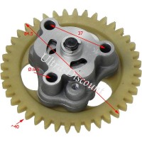 lpumpe fr Quad Shineray 350ccm Bilder 1
