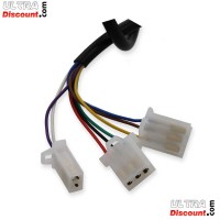 Elektrisches Gasgriff-Set Citycoco (Alu) type5 Bilder 1
