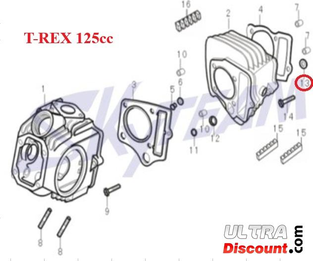 O-Ring fr Skyteam T-REX Motoren 50-125ccm Euro 3 Bilder 2
