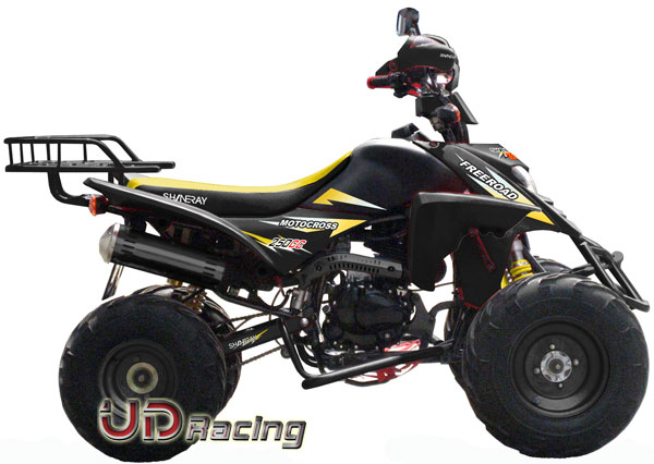 Quad Shineray 250 ccm homologiert 2-Sitz, schwarz Bilder 2