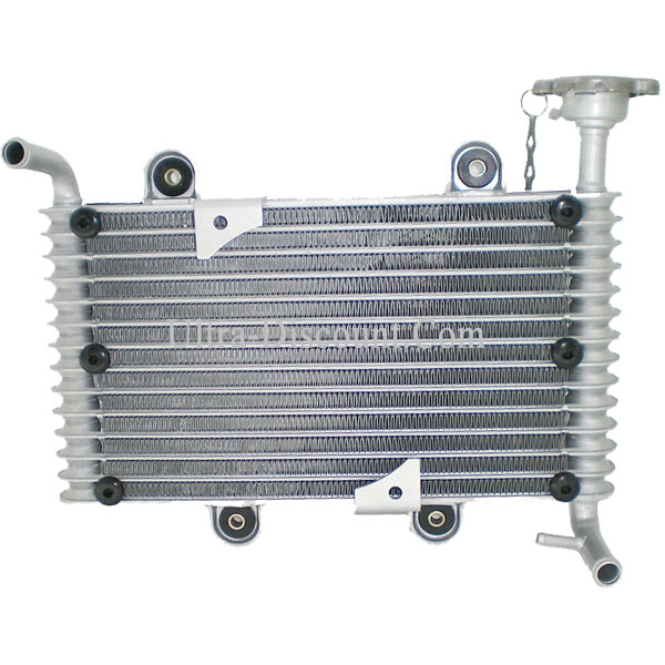 Khler fr Bashan 250cc BS250S11 Bilder 1