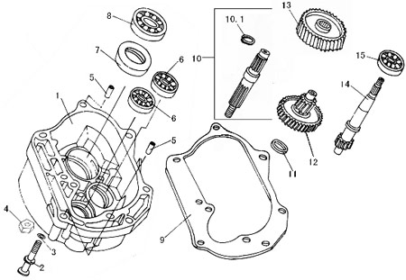 Antriebsritzel fr Motor chinesische Skooter 139QMA (51 Z)