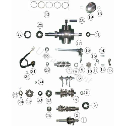 Wellendichtring Quad Shineray 250 ccm ST-9E, Ersatz Shineray 250 STIXE ST9E