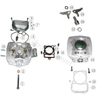 Kipphebelachse fr Quads Shineray 250ccm STXE Bilder 2