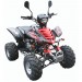 Quad Shineray XY200 ccm STIIE