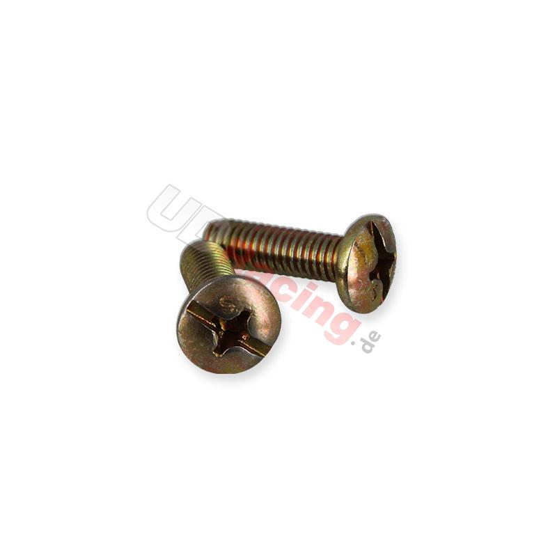 2 Verkleidungsschrauben M6x20 für Citycoco, Citycoco Ersatzteile 2 Verkleidungsschrauben M6x20 für Citycoco, Citycoco Ersatzteile