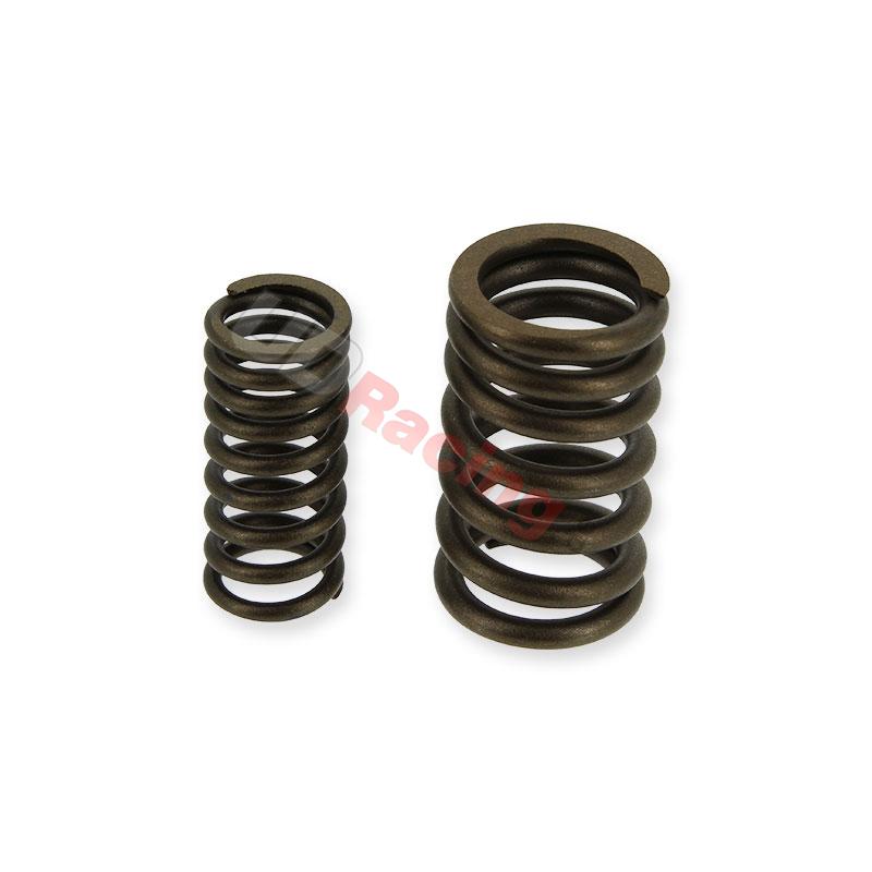 Ventilfedern fr Quads Spy Racing 250 F3, Teile ATV SPY250F3