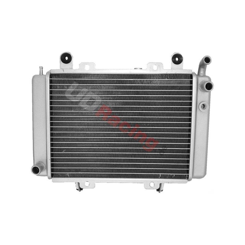 Kühler für Quad Shineray 300 ccm ST-5E, Ersatzteile Quad Shineray 300 Kühler für Quad Shineray 300 ccm ST-5E, Ersatzteile Quad Shineray 300