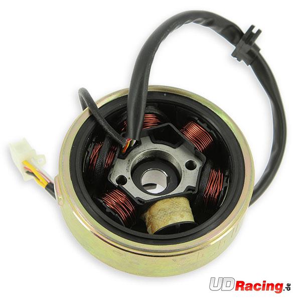 Z�ndung komplett f�r Motoren Skyteam 125ccm, Teile Skymini Monkey Gorilla