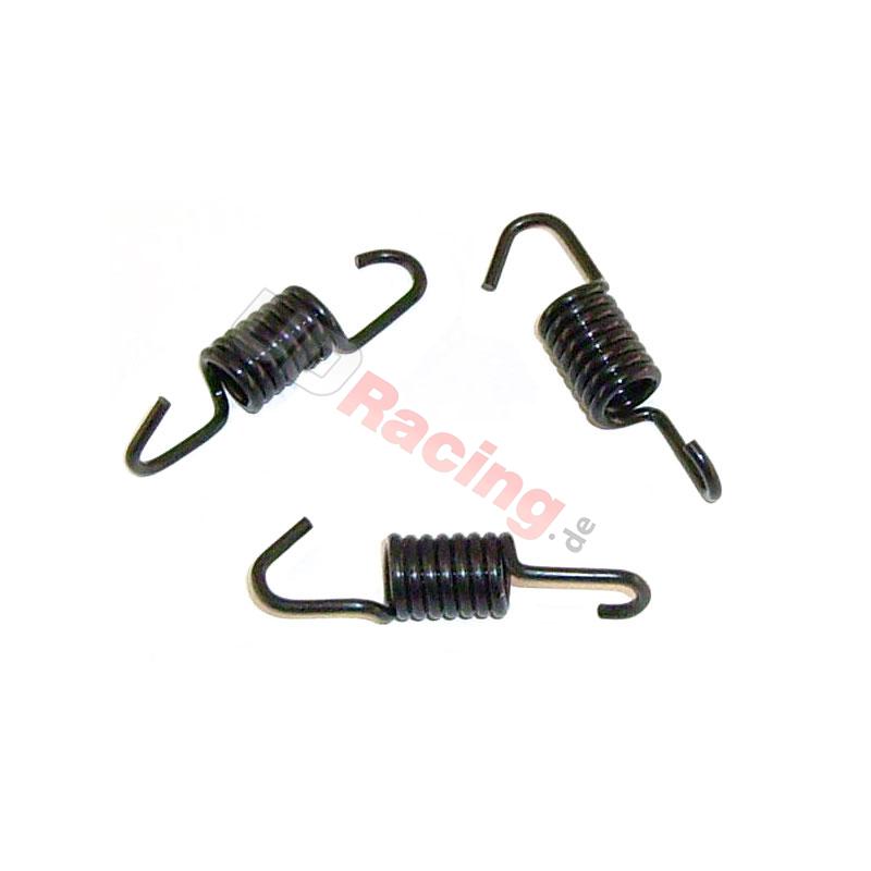 Federn Racing, mittelstark, für Kupplungsnabe der Pocket Supermotos, Teile Pocket Replik R1 Federn Racing, mittelstark, für Kupplungsnabe der Pocket Supermotos, Teile Pocket Replik R1