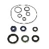 �ldichtungssatz 125cc f�r Trex Skyteam EURO4, Teile Trex Skyteam