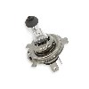 Scheinwerfer Birne f�r Skyteam Skymax Euro4 Euro5, Teile Dax Skymax