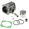 Motor original 49 ccm (Kolbenbolzen 12 mm), Teile Pockets Supermoto