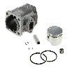 Kit Motor Umbau 47 auf 49 ccm (Achse 10 mm) f�r pocket bike, Ersatzteile Pocket bike