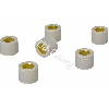 Variatorrollen (Satz 6 Stk) f�r Motorroller 250 ccm (20 g), Chinesische Motorroller Teile