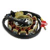 Spule Lichtmaschine f�r chinesischen Skooter 125 ccm (typ 2), Chinesische Motorroller Teile