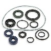 �ldichtungssatz f�r Skyteam 125ccm f�r Trex Skyteam, Teile Trex Skyteam