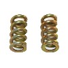 Federn, superhart, gold, f�r 2-Backenkupplungen, Nitro Motorradteile