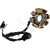 Lichtmaschine f�r Quads Shineray 150ccm (XY150STE), Ersatzteile Shineray 150 STE