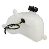 Benzintank f�r Roller mit Verbrennungsmotor (type2), Teiles Thermoscooter