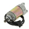 Anlasser f�r Quad Spy Racing 250 F1 , 9-Zahn Ritzel, Teile ATV SPY250F1