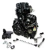 Motor CGP125 125ccm f�r Skyteam ACE (ST156FMI) (Schwarz), Teile Ace Skyteam
