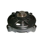 Kupplungsglocke mit 6 Zhne Ritzel fr Pocket ZPF