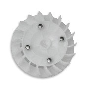 Flgelrad fr Shineray Quad 200 ccm (XY200ST9)