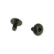 2 Verkleidungsschrauben M6x10 fr Pocket bike