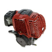 Motor komplett XY139F-7  fr einen Thermoscooter