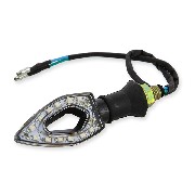 Blinker vorne rechts LED fr Skyteam Skymax Euro 4 und Euro 5