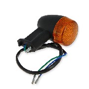 Blinker hinten  fr Citycoco