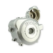 Lichtmaschinenabdeckung fr Quad Spy Racing 250 F3