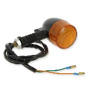 Blinker hinten  fr Citycoco(type2)