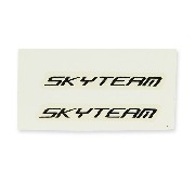 SkyTeam-Aufkleber (weiß-schwarz)