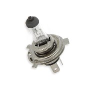 Scheinwerfer Birne f�r Skyteam Skymax Euro4 Euro5