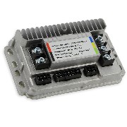 Dimmersteuerung 1000W mini Citycoco (typ3)