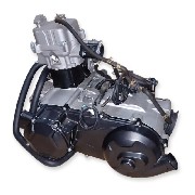 Motor komplett172MM f�r Quad Bashan 300 ccm (BS300AU-2)