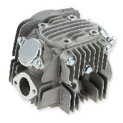 Zylinderkopf dirt bike 140ccm 1P55FMJ mit Schutz (Lifan)