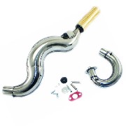 Auspuff Racing R1, gold, fr pocket bike