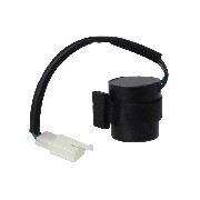 Blinkerrelais fr Quad Bashan 200 ccm (BS200S-3)