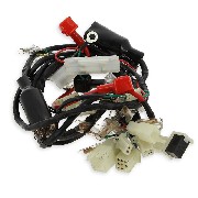 Kabelbaum fr Quad Bashan 200 ccm (BS200-3)